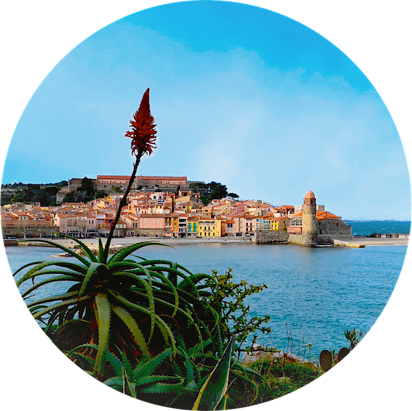 D146