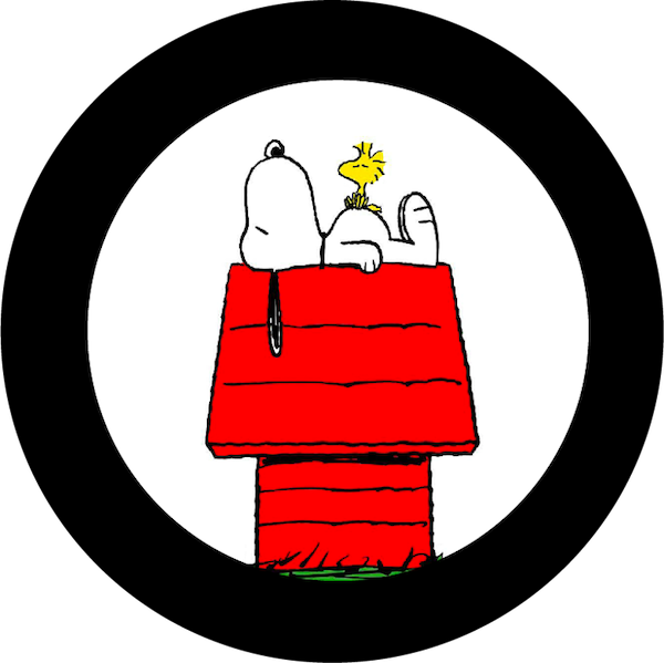 B46