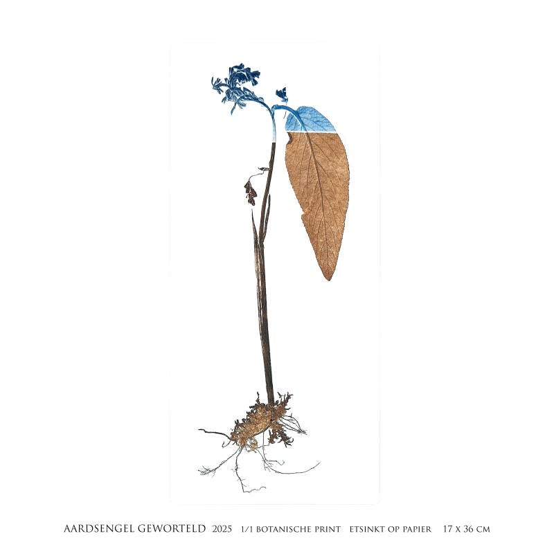 aardsengel-geworteld-vierkant-standard-ajxrlj.jpg