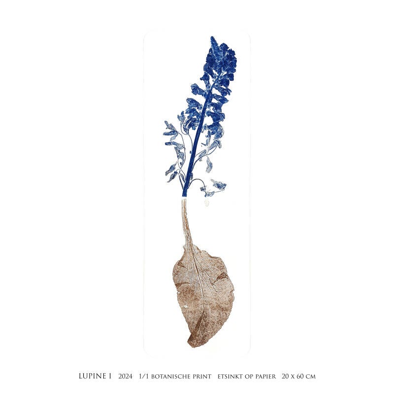 bloem-met-groot-blad-vierkant-standard-zb57qq.jpg