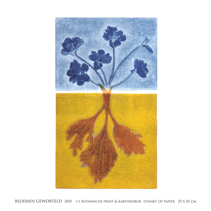 bloemen-geworteldvierkant-standard-wcly3y.jpg
