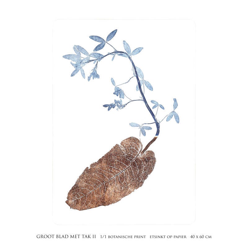 bot-print-ii-3-vierkant-standard-zup5hv.jpg