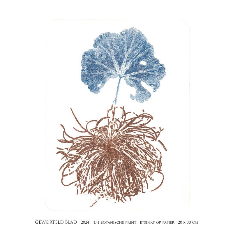 geworteld-blad-vierkant-standard-srtkqn.jpg