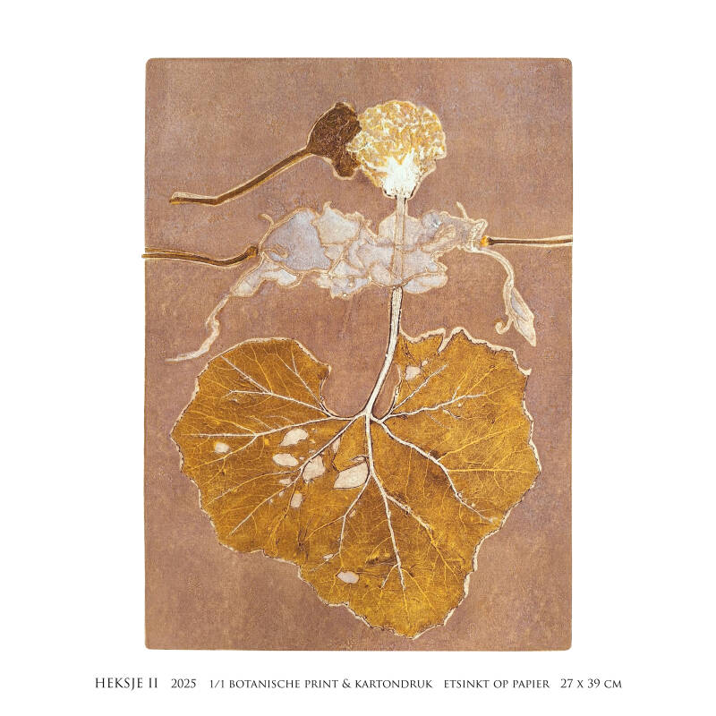 heksje-ii-4-kant-standard-qq5egd.jpg