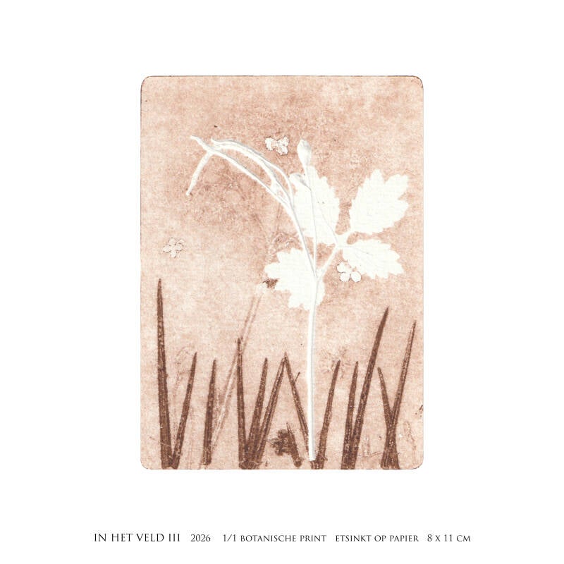 in-het-veld-iii-2026-vierkant-standard.jpg