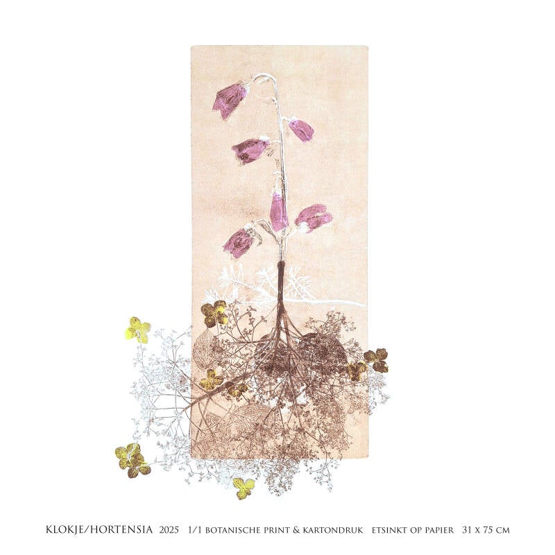 klokje-hortensia-vierkant-standard-ce7cwf.jpg