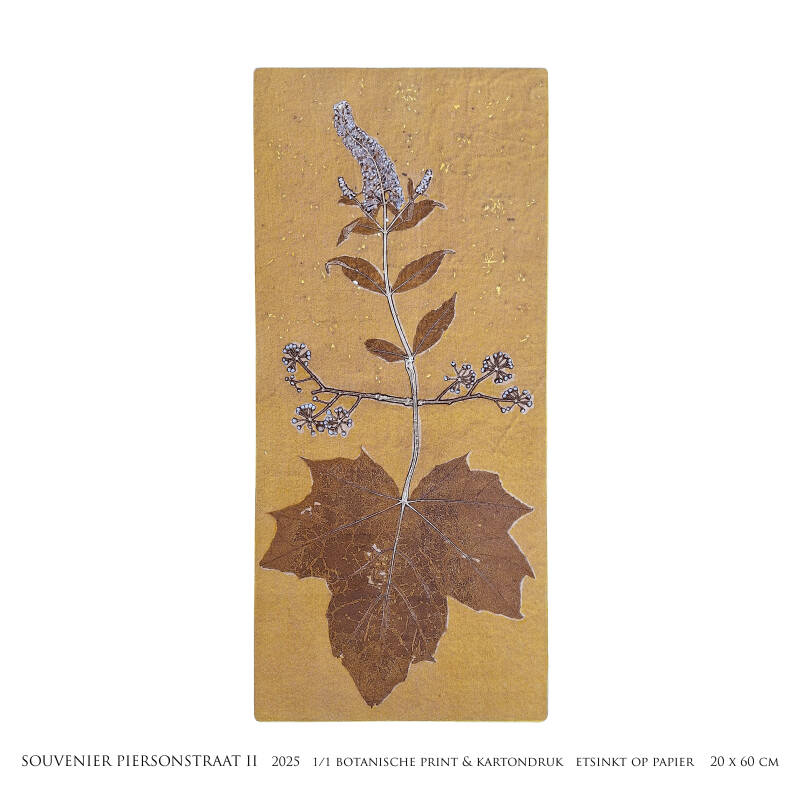 souvenier-piersonstraat-ii-2025-vierkant-standard.jpg