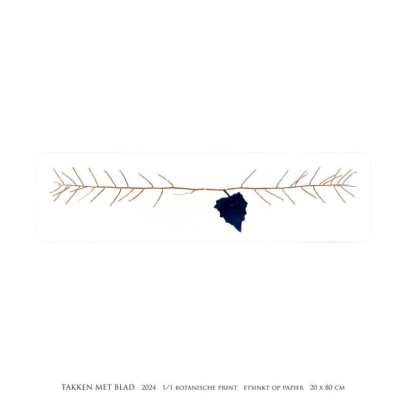 takken-met-blad-vierkant-standard.jpg