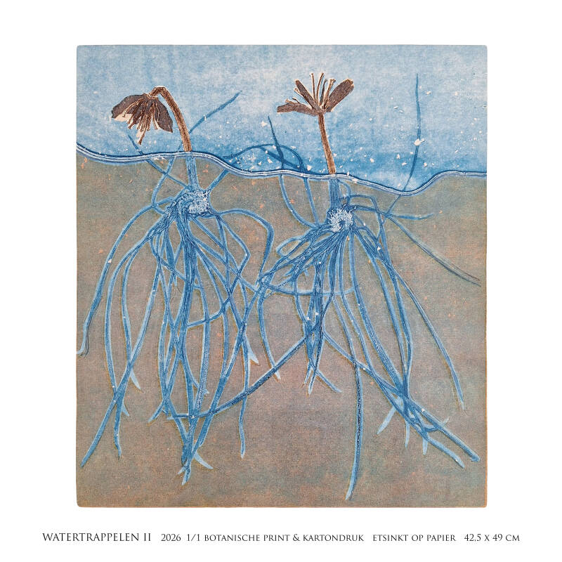 watertrappelen-ii-2026-4-kant-standard.jpg