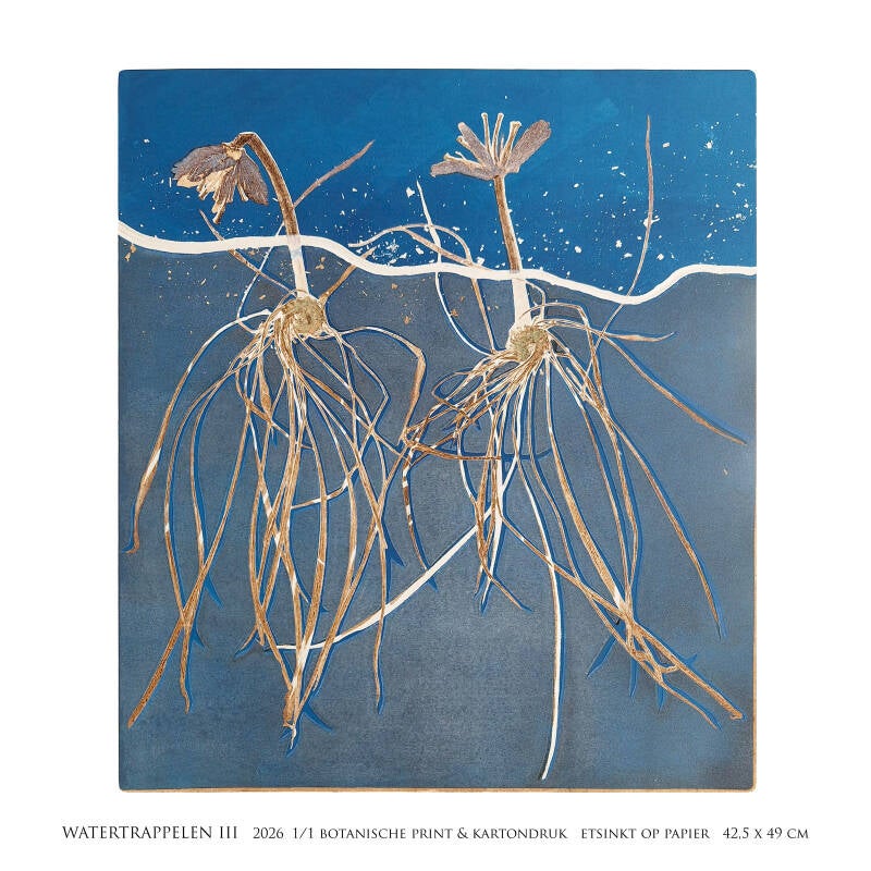 watertrappelen-iii-2026-4-kant-standard.jpg
