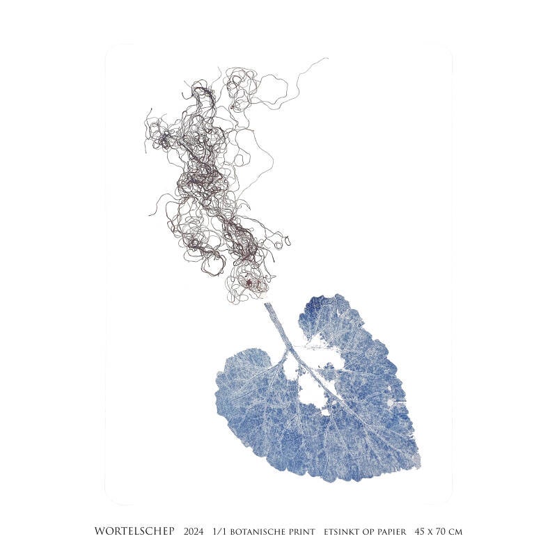 wortelschep-vierkant-standard-g64upr.jpg