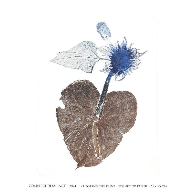 zonnebloem-zonnebloemhart-vierkant-standard.jpg