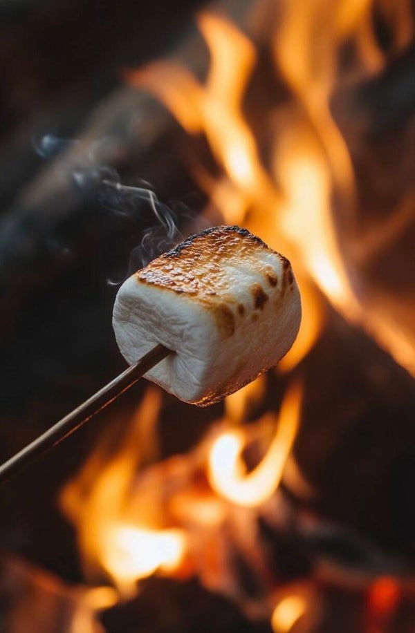 Fondant Chamallow grillée