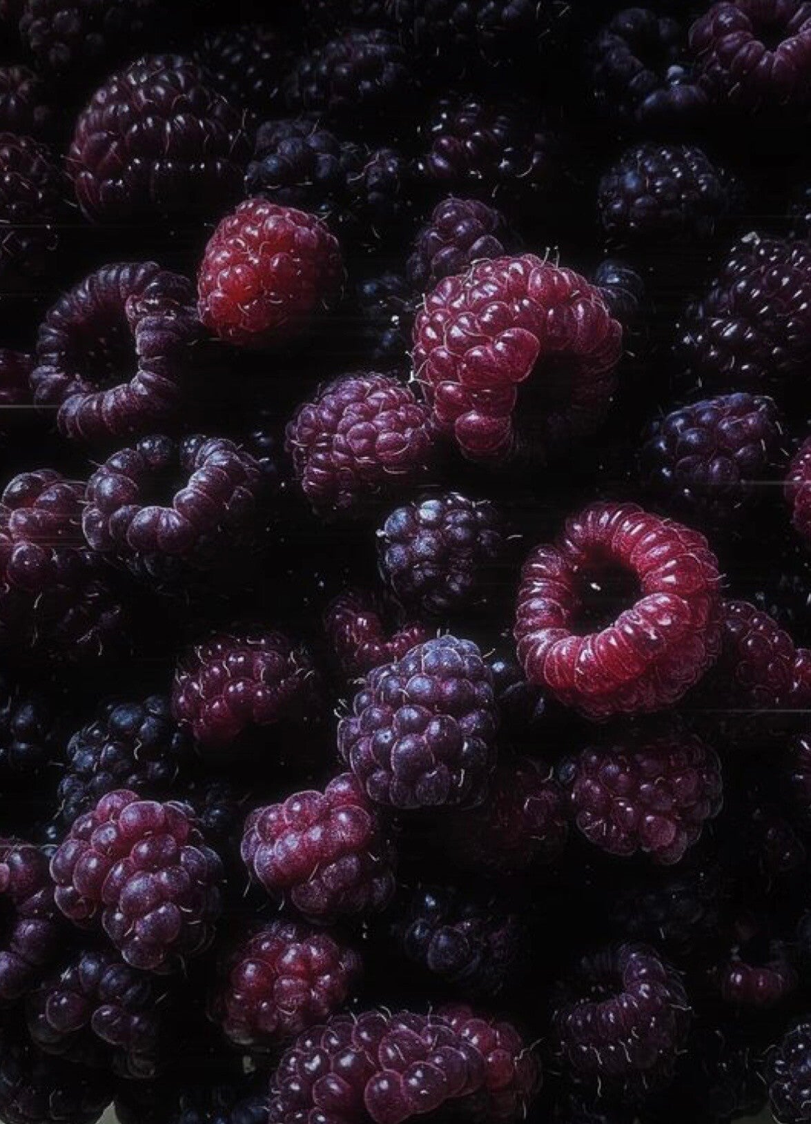 Fondant framboise noir vanille