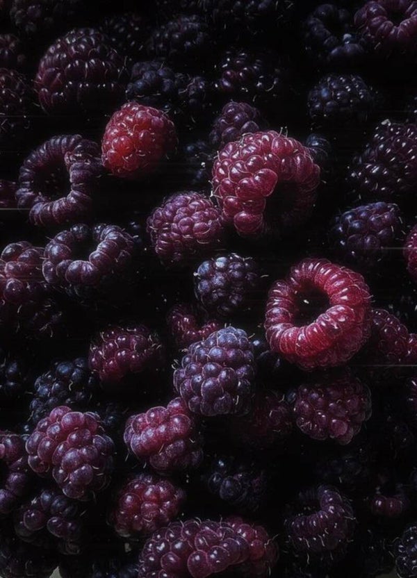 Fondant framboise noir vanille