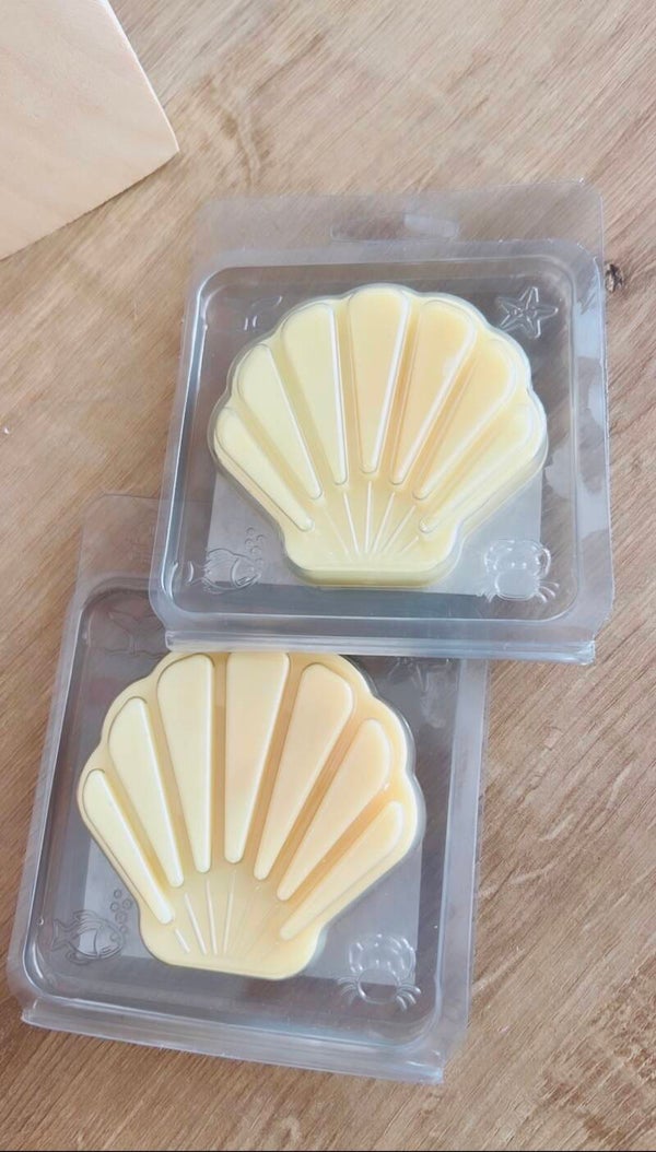 Coquillage à faire fondre