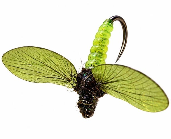 EJ’s Emerald Flutter
