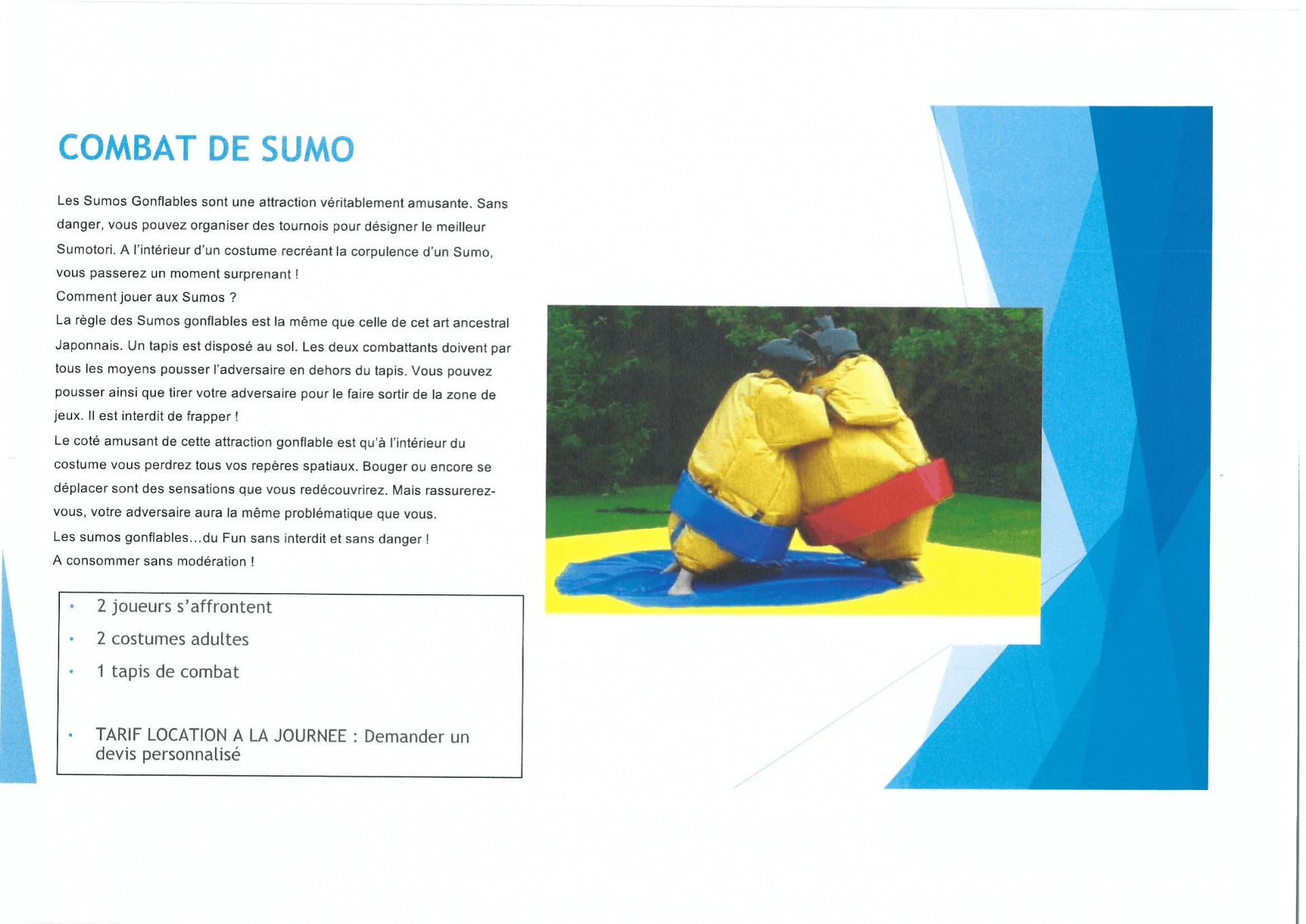 Combat lutte sumo