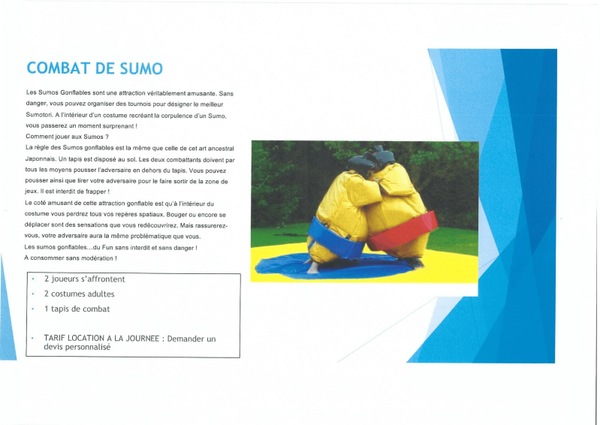 Combat lutte sumo