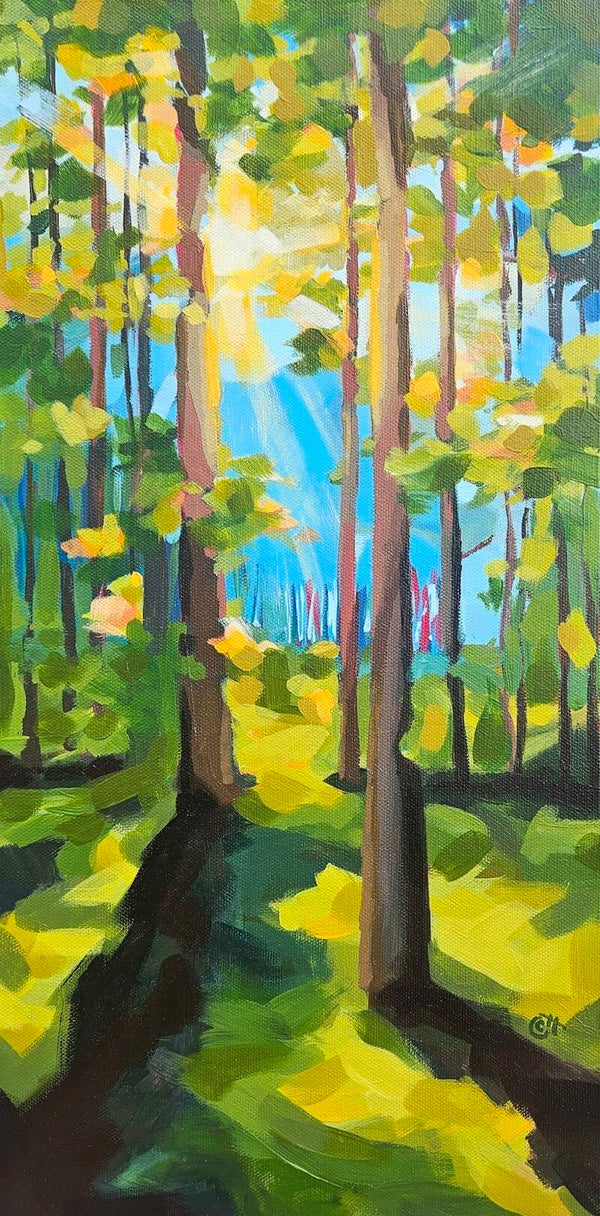 MB Johnson Park