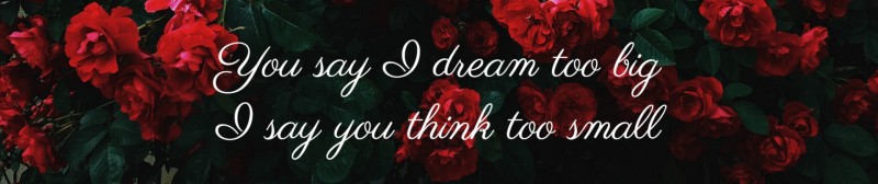 My favourite quote