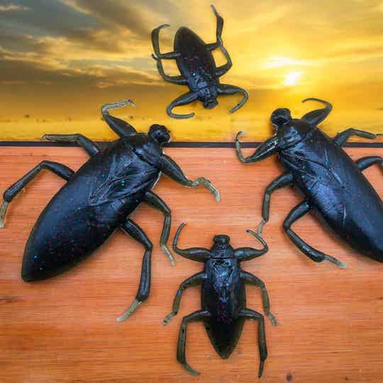 “The Water Bandit”(A Silver Fox Exclusive) Bass & Crappie bait