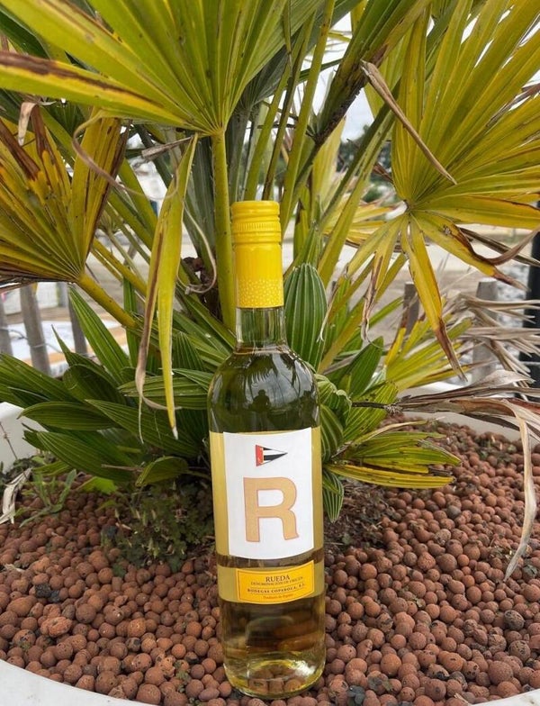 R-Verdejo