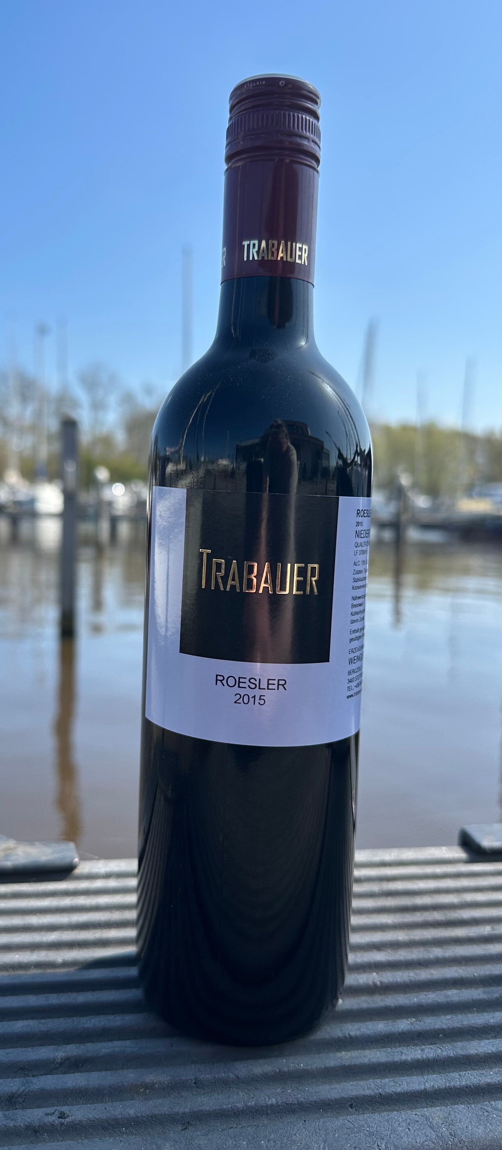 Trabauer Roesler 2015