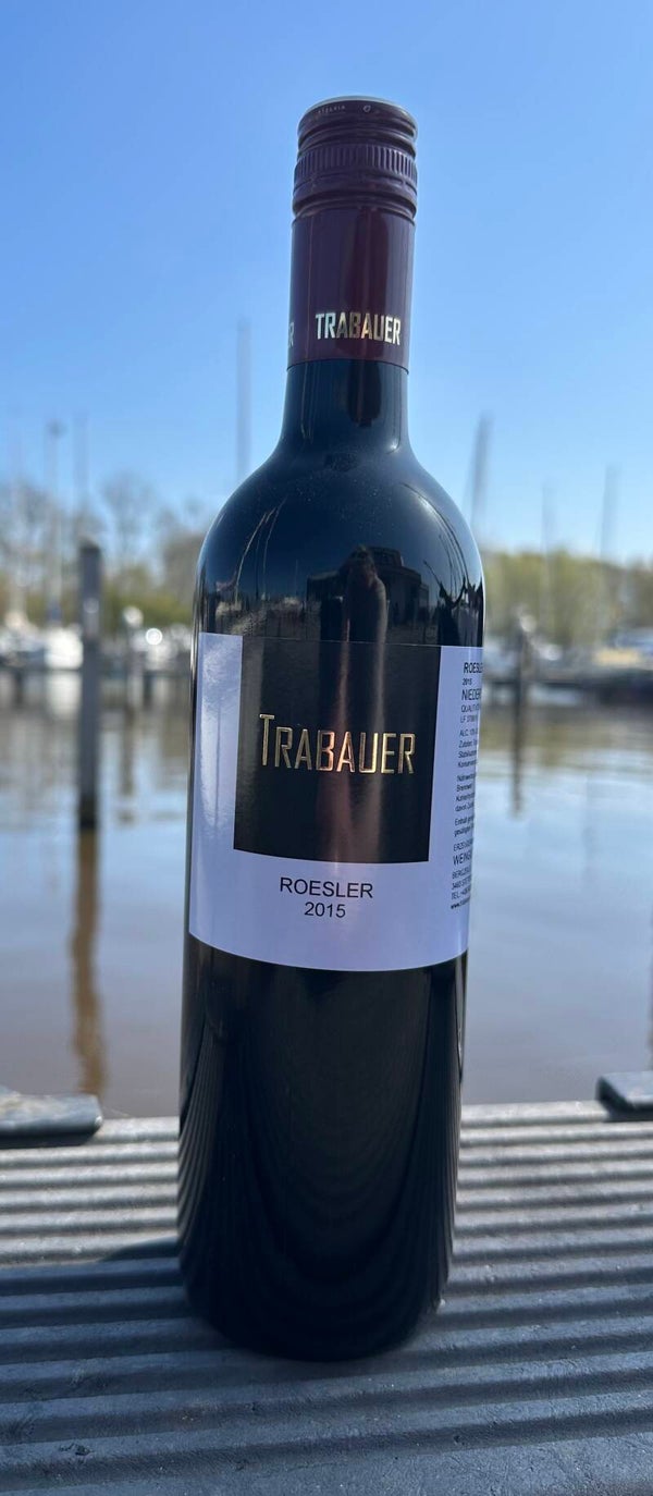 Trabauer Roesler 2015