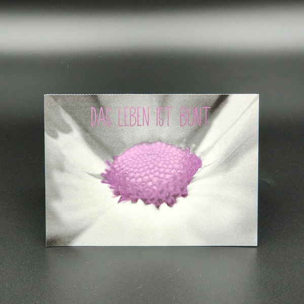 Diverse Karten - Blume lila