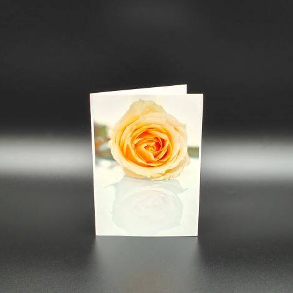 nicht geladen - Fotokarten - orange Rose