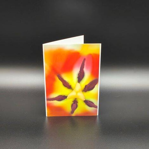 nicht geladen - Fotokarten - Feuerblume