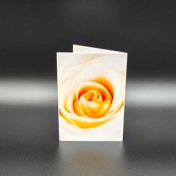 nicht geladen - Fotokarten - Goldene Rose