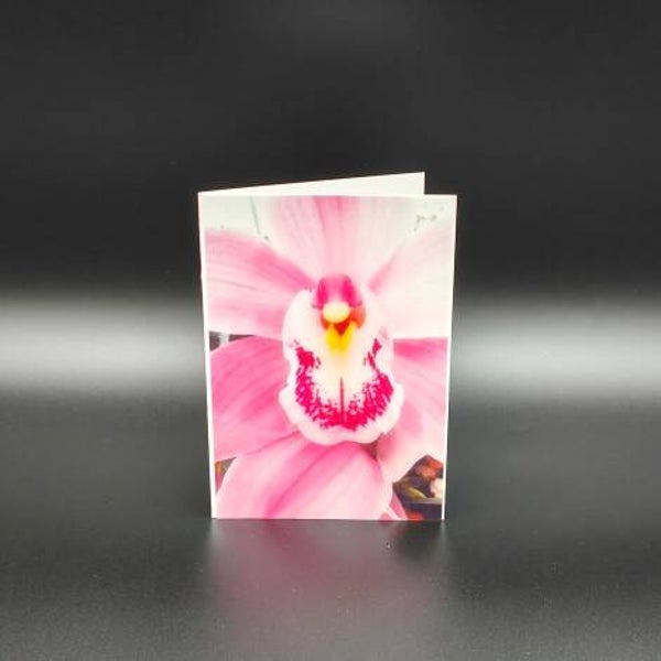 nicht geladen - Fotokarten - Orchidee
