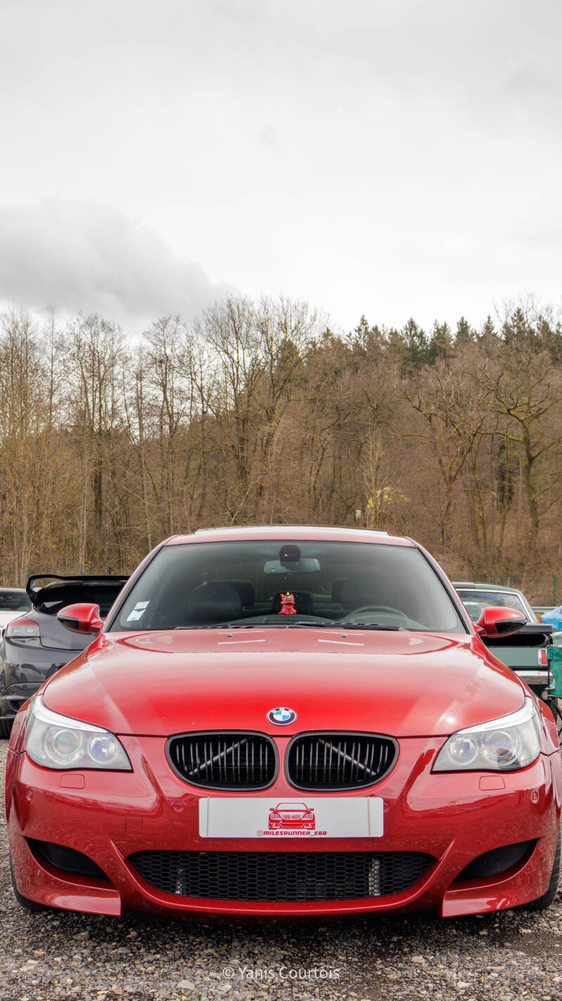 img_0115-standard.jpg