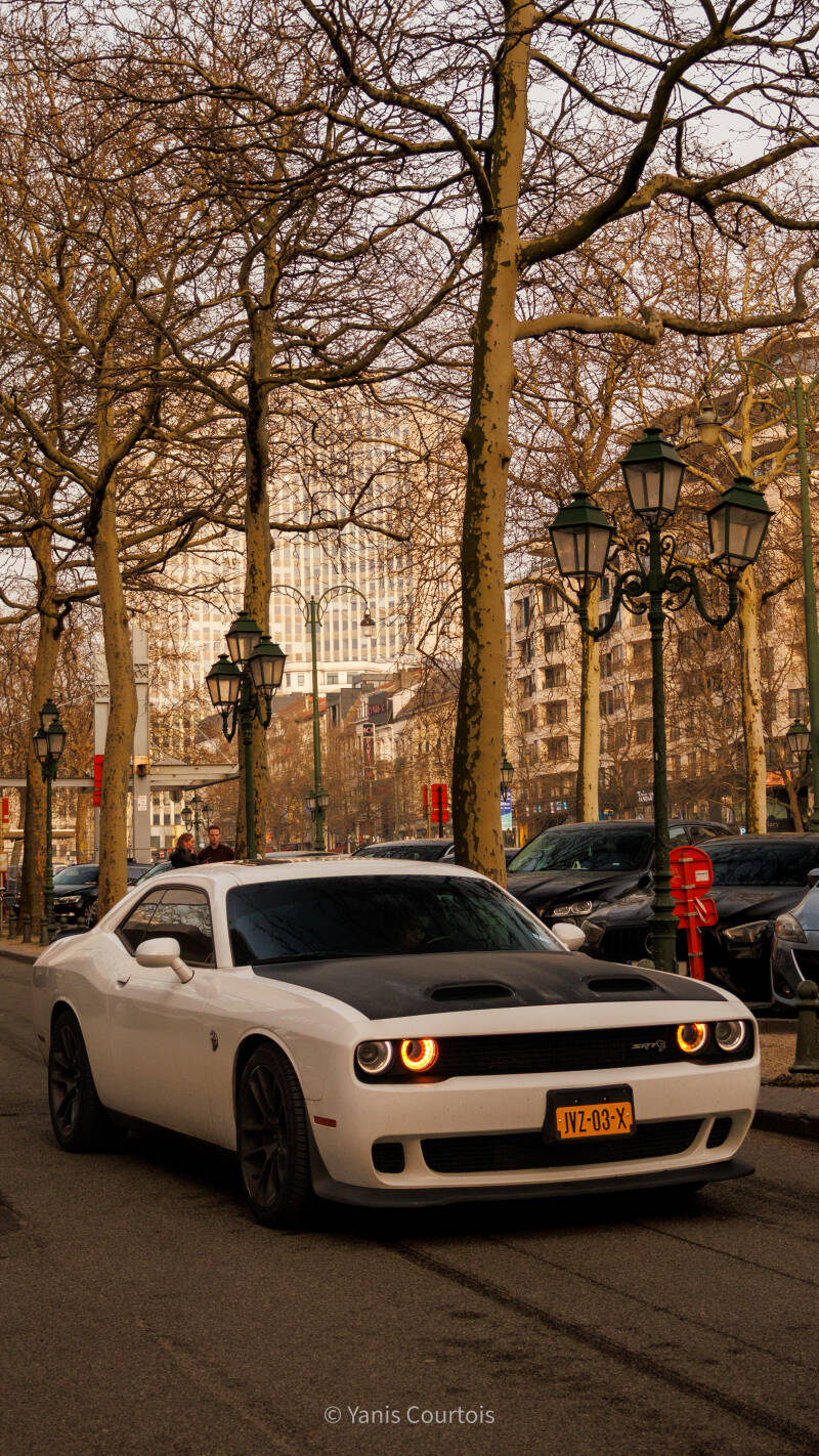 img_9199-standard.jpg