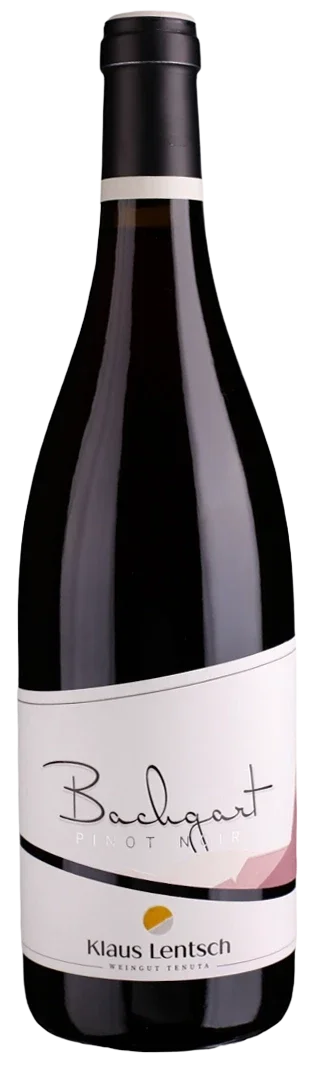 Blauburgunder - Klaus Lentsch - 2021