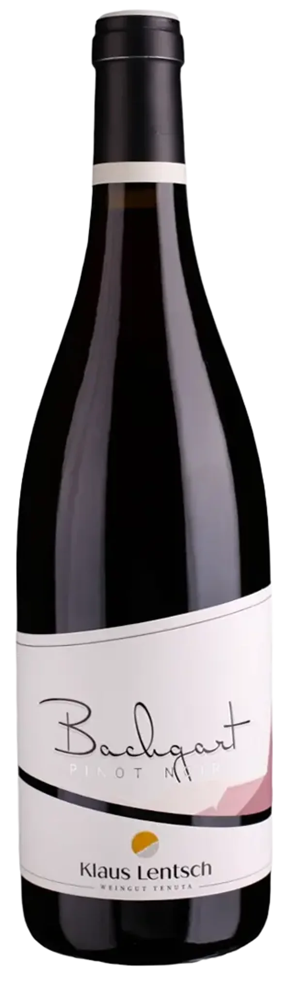 Blauburgunder - Klaus Lentsch - 2021