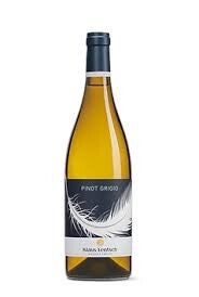 Pinot Grigio - Klaus Lentsch - 2024
