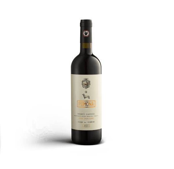 Chianti Classico "Gran Selezione" - Vigna del Termine-  Pomona - 2022