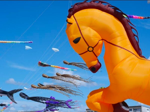 Cerfs-Volants de Berck-sur-Mer