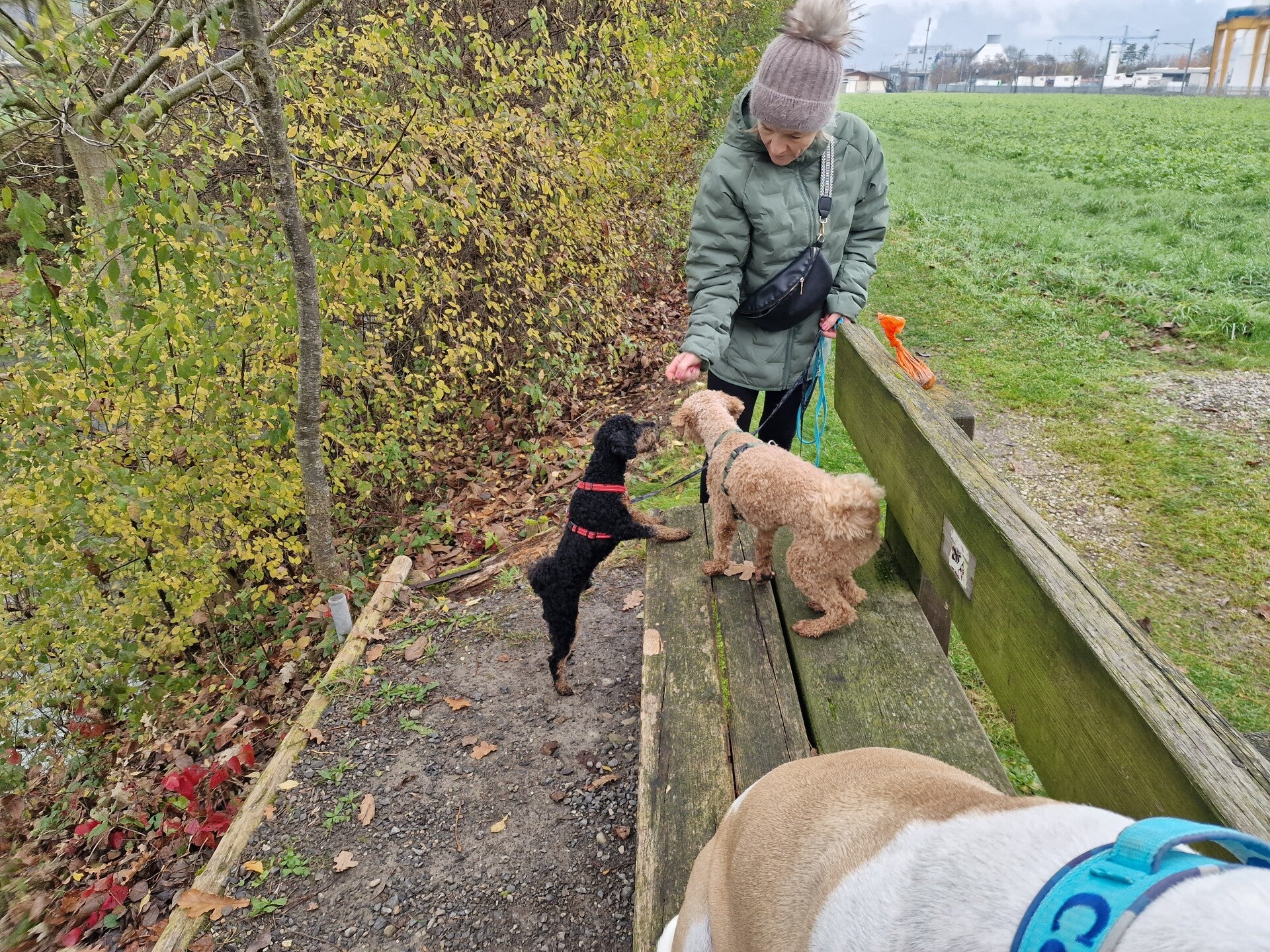 20251110_093741-standard.jpg