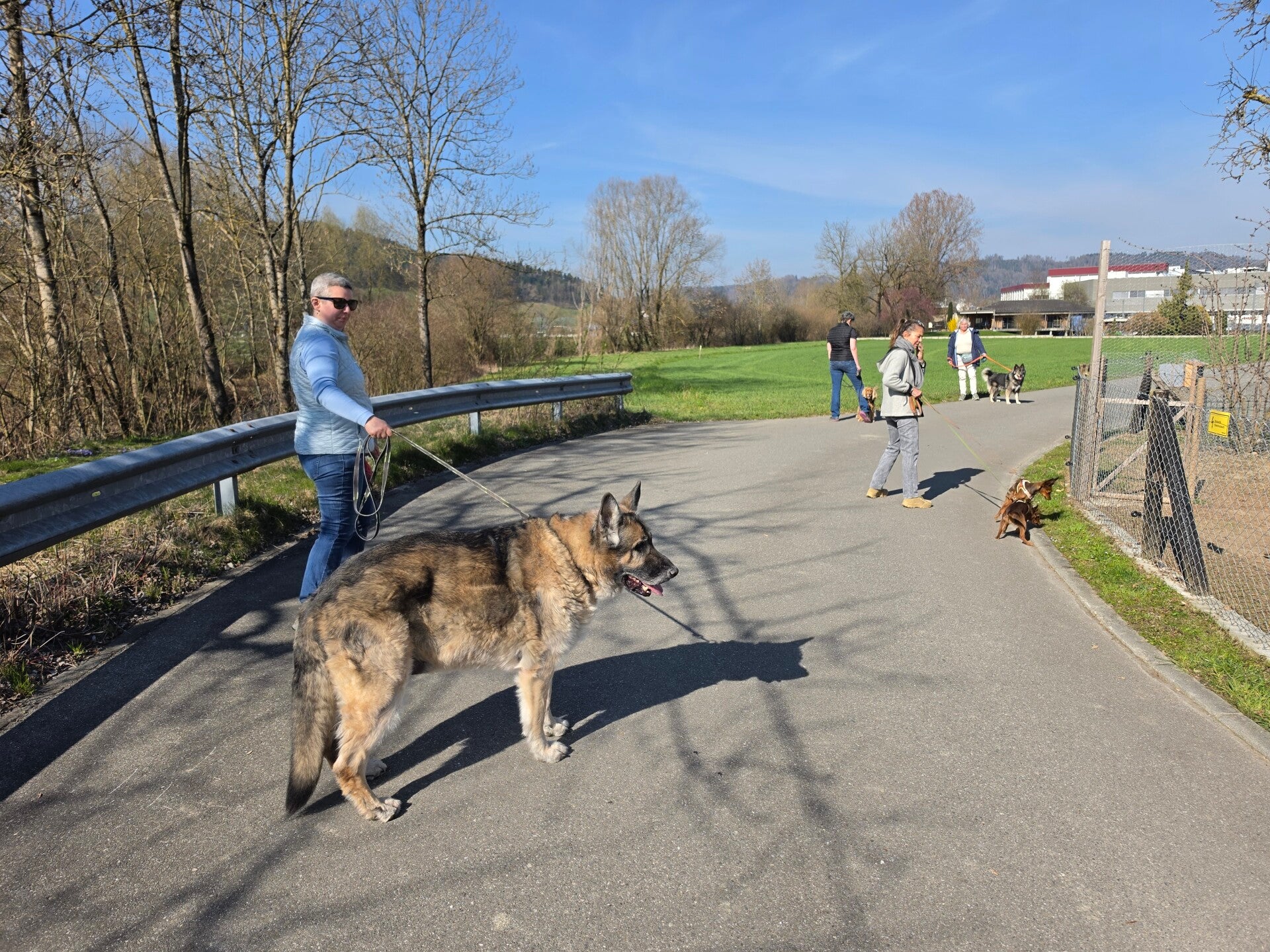 20260319_144637-standard-wivwr0.jpg