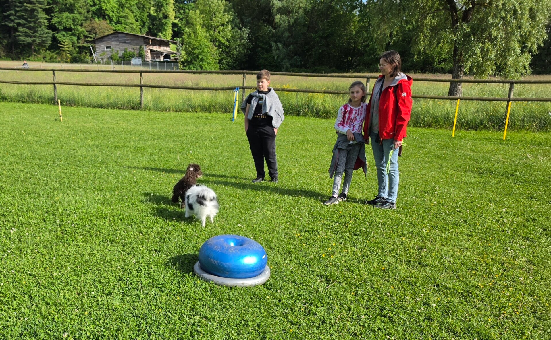 20260512_174935-standard.jpg