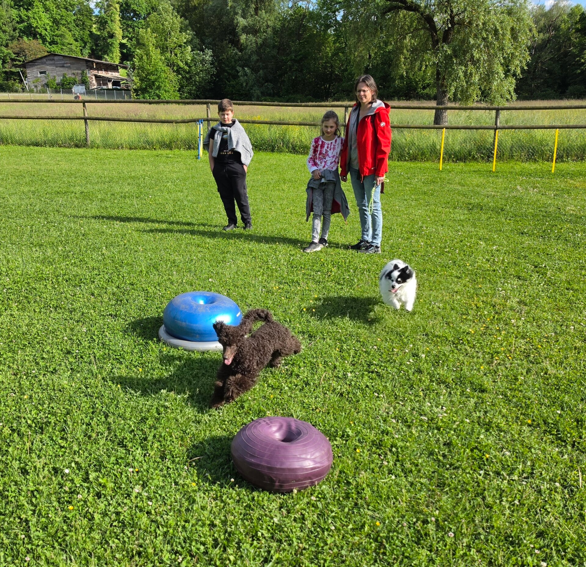 20260512_174938-standard.jpg