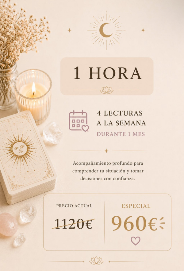 Plan Premium✨