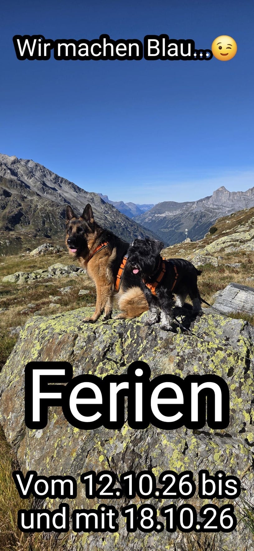 Aktuelle Veranstaltung