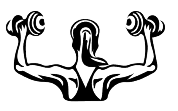Frauen T-Shirt Fitness Dame 6