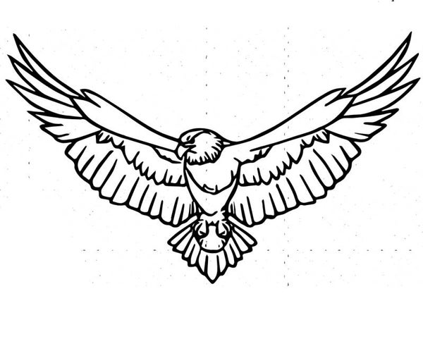 Neckholder Top Adler 1