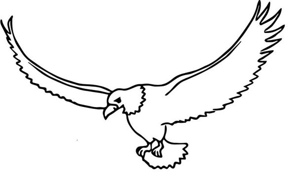 Corporate Top Keyhole Adler 3